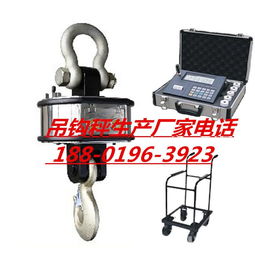 耐高溫吊鉤秤與無線傳輸電子吊鉤秤價格解析及優(yōu)質(zhì)生產(chǎn)廠家推薦